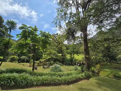 a garden with plants and trees on a field at Monteverde Casa Mia, near main attractions and town! in Monteverde Costa Rica