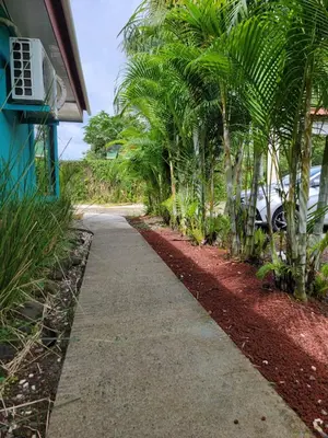 a sidewalk in front of a house with palm trees at Hotel Campestre Arenal in Fortuna