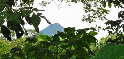 a mountain seen through the leaves of a tree at Hotel Campestre Arenal in Fortuna