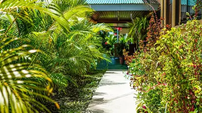 a garden with palm trees and a walkway at Hotel Campestre Arenal in Fortuna