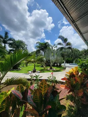 a garden with palm trees and a pathway at Hotel Campestre Arenal in Fortuna