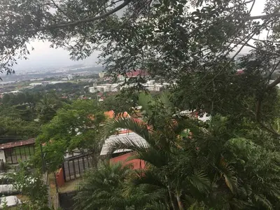 a view of a city from behind some trees at Salamandra Room in Escazu