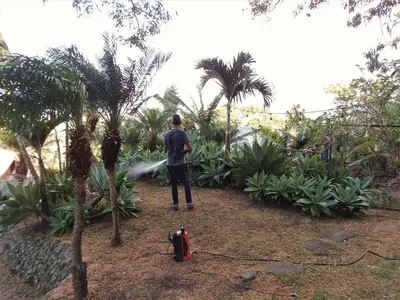 a man standing in a garden looking at plants at Salamandra Room in Escazu