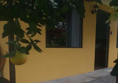 a building with a window and a pomegranate tree at Dreamcatcher house in Sarchí