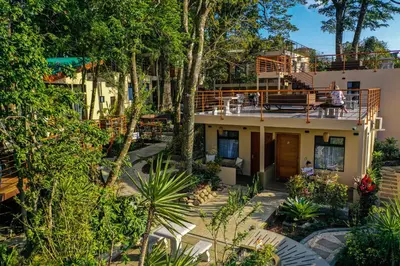 an aerial view of a house with trees at Sibu Boutique Hotel in Monteverde Costa Rica