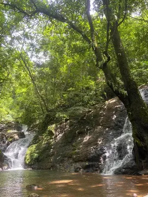 a waterfall in the middle of a river at Lovely rental unit in Nosara- steps from the beach in Nosara