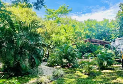 a garden with palm trees and a building at Lovely rental unit in Nosara- steps from the beach in Nosara