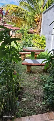 a group of benches in a garden with plants at Bijagua paradise Río Celeste in Bijagua