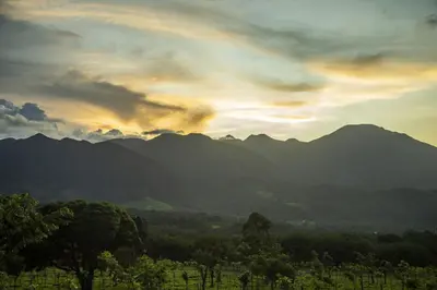 a sunset over a mountain range with trees in the foreground at 