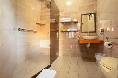 a bathroom with a shower and a toilet and a sink at La Fortuna Downtown Boutique Hotel in Fortuna