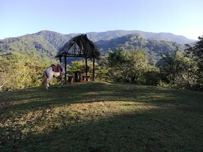 a horse standing in a field with a gazebo at Hacienda Mil Bellezas - Private 40ha Jungle Reserve in Quepos