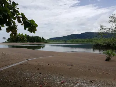 a beach with a body of water and a mountain at Garden of Heliconias Lodge in Drake