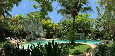 a swimming pool in a garden with a palm tree at Villa Don Vito in Tamarindo