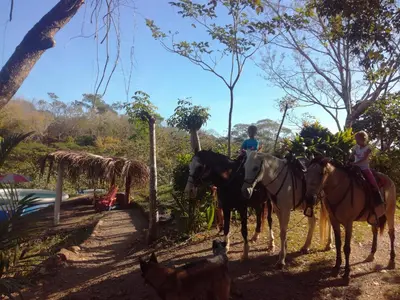 a group of people on horses and a dog at Fidelito Ranch & Lodge in Tambor