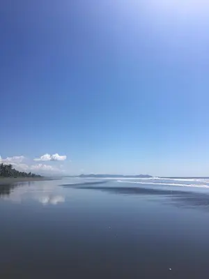 a view of the beach with the ocean in the background at Tranquilidad Resort in Parrita