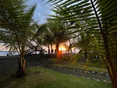 a group of palm trees on the beach at sunset at Tranquilidad Resort in Parrita