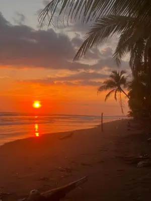 a sunset on a beach with a palm tree at Tranquilidad Resort in Parrita