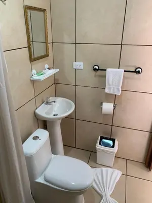 a bathroom with a white toilet and a sink at Le Petit Hotel in Fortuna