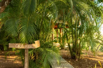 a street sign in front of some palm trees at Calamocha Lodge in Santa Teresa Beach