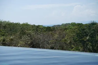 a view from the top of a road with trees at Calamocha Lodge in Santa Teresa Beach
