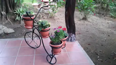 a bike with four pots of flowers on it at Hotel El Paraiso Escondido - Costa Rica in Jacó