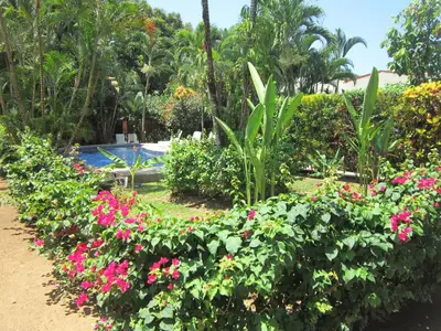 a garden with pink flowers and a swimming pool at Hotel El Paraiso Escondido - Costa Rica in Jacó