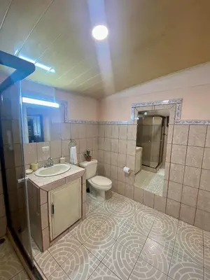 a bathroom with a sink and a toilet in it at Ferreto`s House in El Castillo de La Fortuna