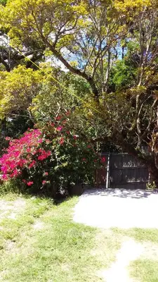 a garden with pink flowers and a fence at Globi lodge #2 in Monteverde Costa Rica