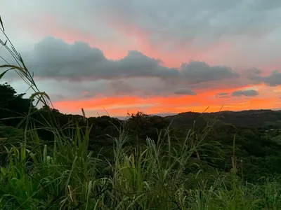 a sunset over a field with plants in the foreground at Globi Lodge #3 in Monteverde Costa Rica