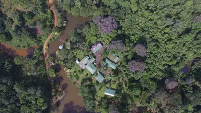 an overhead view of a forest and a river at La Laguna del Lagarto Eco-Lodge in Pital