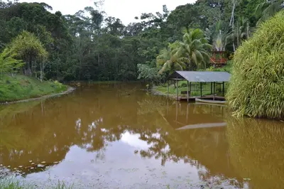a body of water with a boat in it at La Laguna del Lagarto Eco-Lodge in Pital
