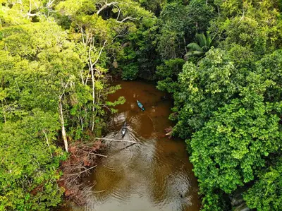 an aerial view of a river in a forest at La Laguna del Lagarto Eco-Lodge in Pital