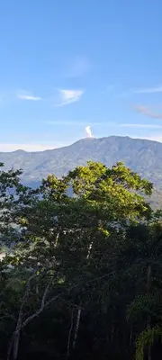 a group of trees with mountains in the background at Pochotel in Turrialba