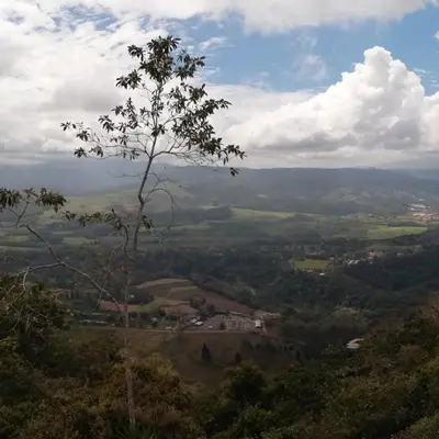 a tree on top of a hill with a view at Pochotel in Turrialba