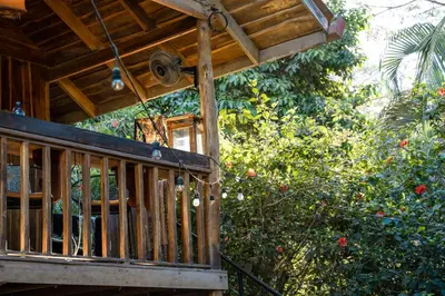 a porch of a wooden house with trees at Salty Enthusiasts Share House & Villas in Santa Teresa Beach