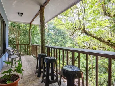 a screened in porch with stools and a tree at Cantos Del Bosque in Monteverde Costa Rica
