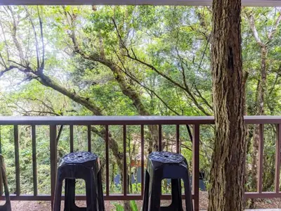 a porch with three stools sitting next to a tree at Cantos Del Bosque in Monteverde Costa Rica