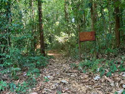 a sign in the middle of a trail in the woods at Paraisoverde-Corcovado Over Night in Drake