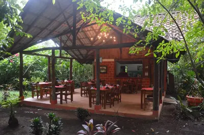 a restaurant with wooden tables and chairs in a forest at Arenal Oasis Eco Lodge & Wildlife Refuge in Fortuna