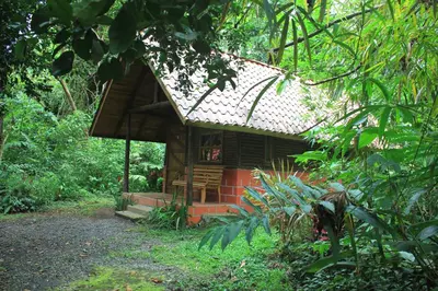 a small cabin in the middle of a forest at Arenal Oasis Eco Lodge & Wildlife Refuge in Fortuna