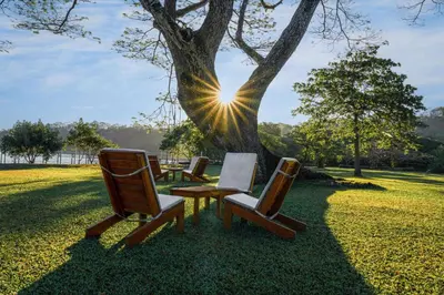 a group of chairs and a table under a tree at OPacifico Hotel Boutique in Playa Naranjo