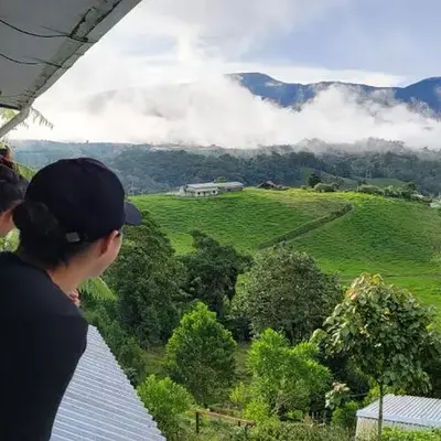 Volcano Panoramic Views