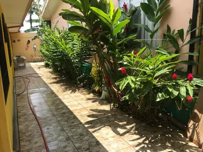 a garden outside a house with plants at Casa del Suizo in Alajuela City