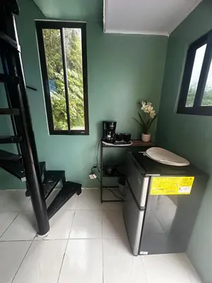 a green room with a desk and a window at The Jungle Container in Quepos