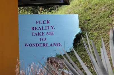 a sign that readsfuck reality take me to wonderland at Planet B Hostel - Adults Only in Manuel Antonio
