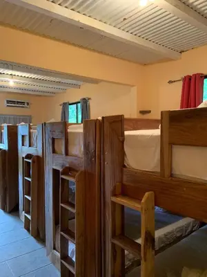 a group of bunk beds in a room at Planet B Hostel - Adults Only in Manuel Antonio