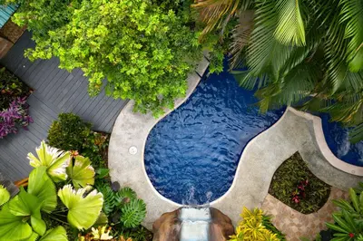 an overhead view of a swimming pool in a garden at San Gabriel Apartments in Fortuna