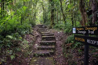 a trail in the jungle with a sign in the middle at Monteverde Lodge by Böëna in Monteverde Costa Rica