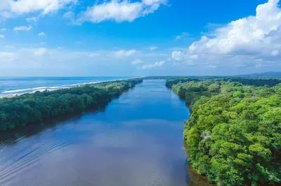an aerial view of a river with trees and the ocean at Tortuga Lodge in Tortuguero