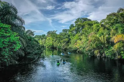 a group of people kayaking down a river in a jungle at Tortuga Lodge in Tortuguero